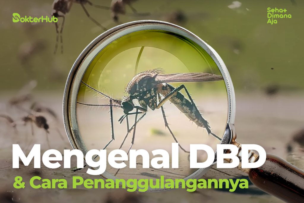 Demam Berdarah Dengue dbd adalah